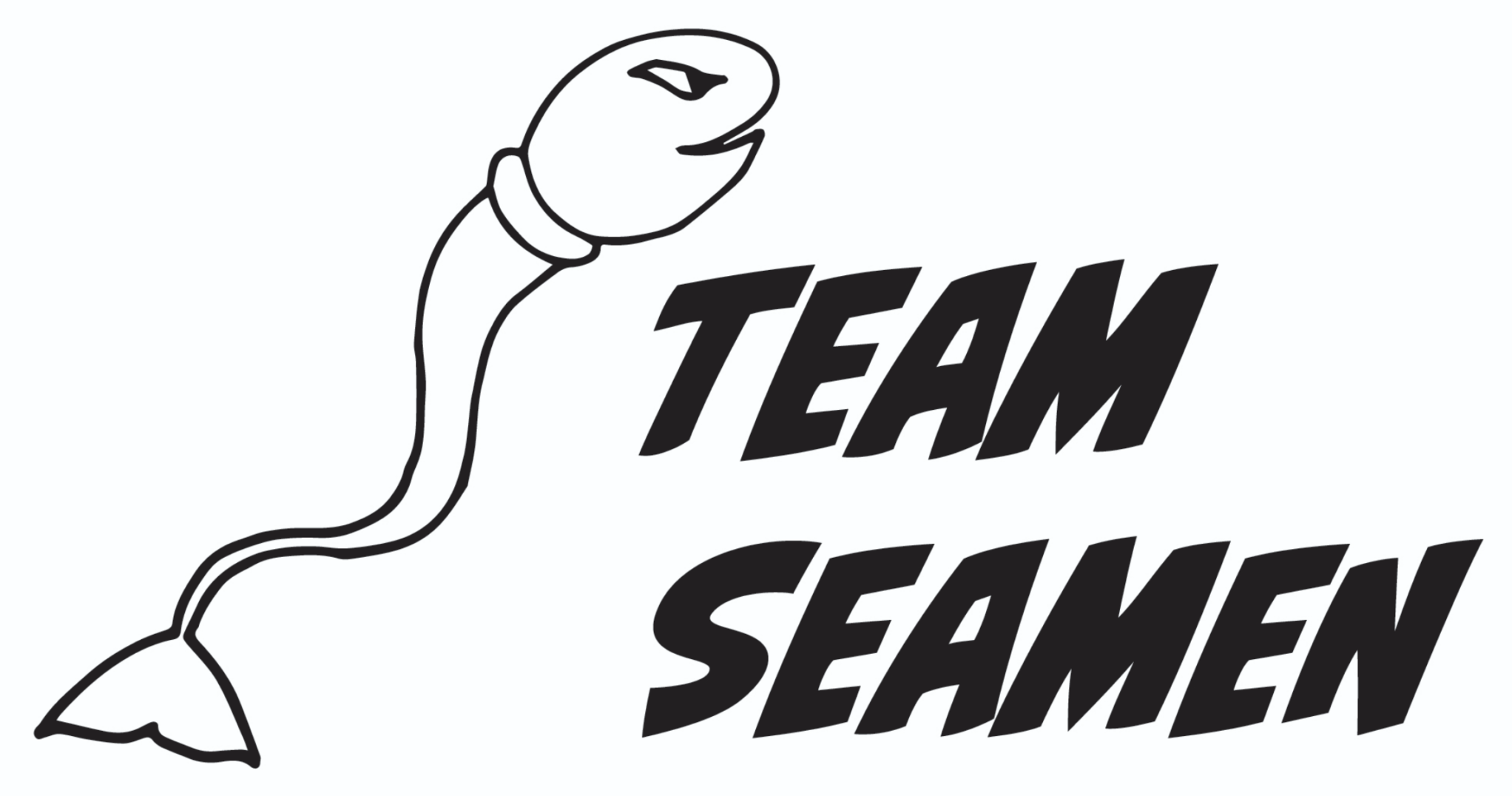 teamseamen.se
