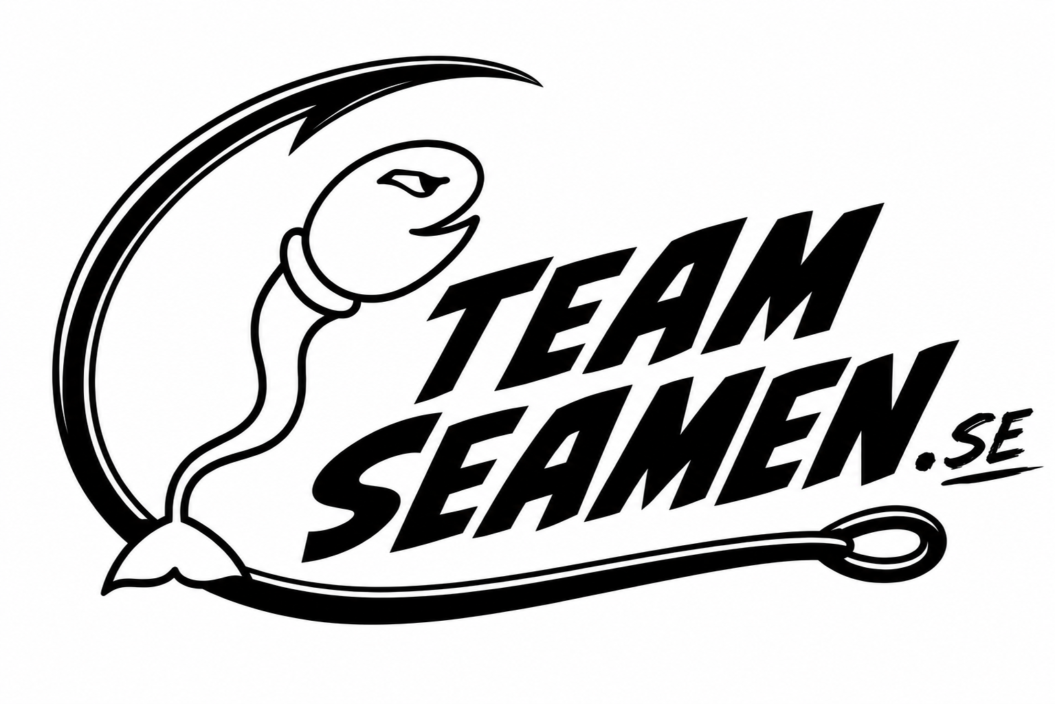 teamseamen.se
